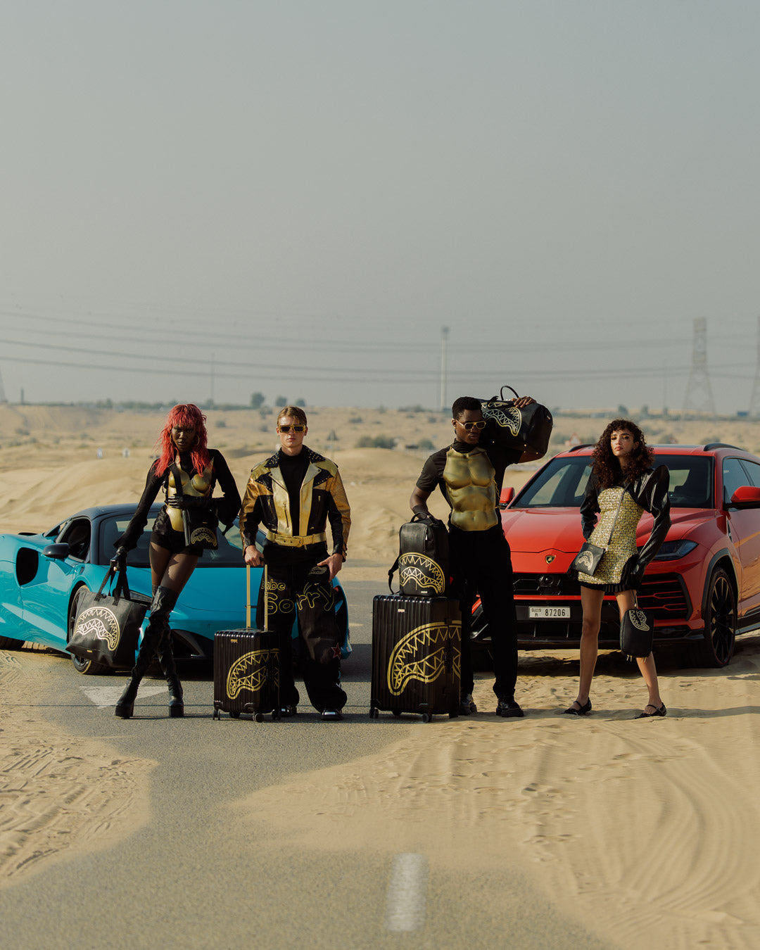 GOLD FANG FULL-SIZE LUGGAGE - Image 12