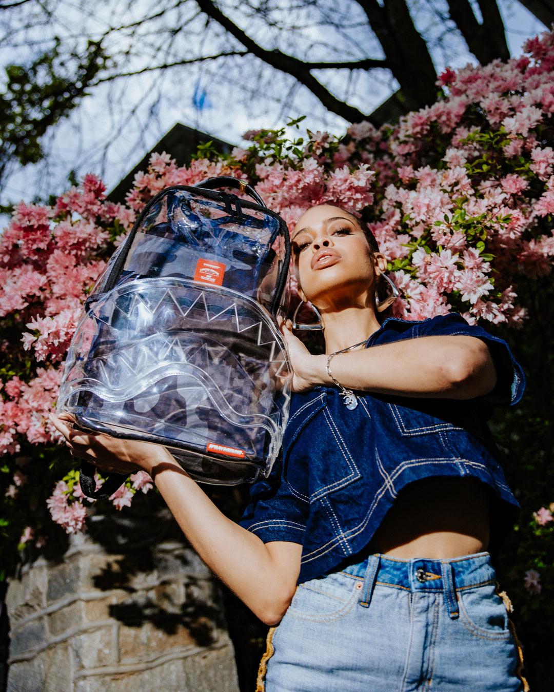 CLEAR AS NIGHT ?C CLEAR DLX BACKPACK - Image 2