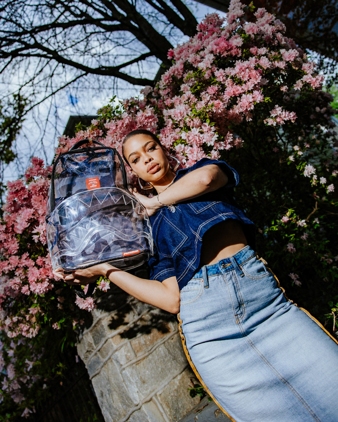 CLEAR AS NIGHT ?C CLEAR DLX BACKPACK - Image 4