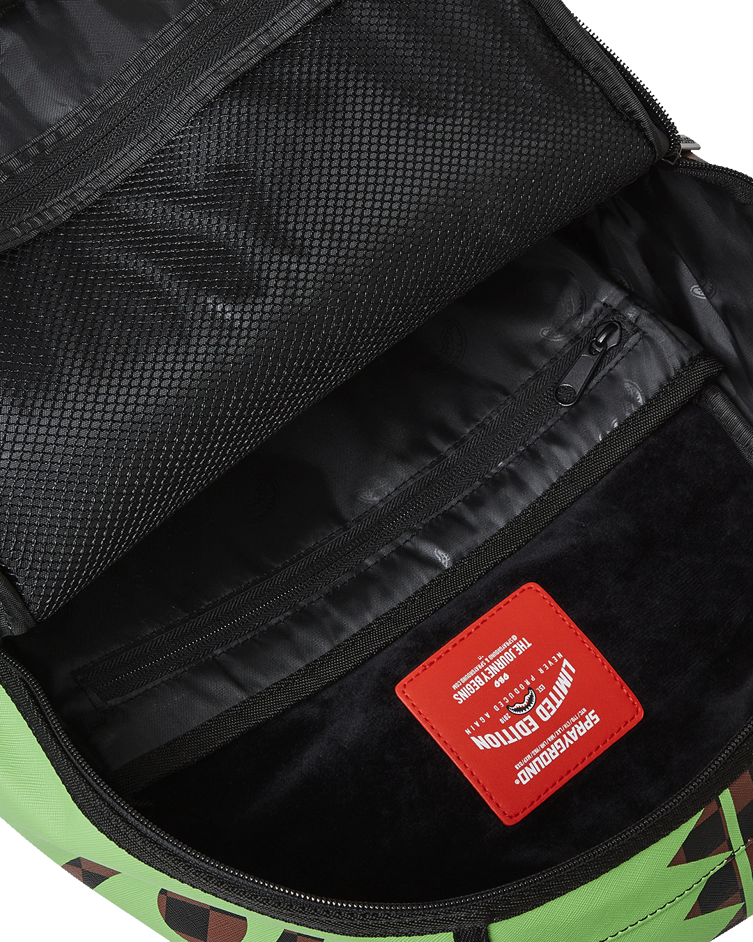 GREEN MONEY BEAR DLXSV BACKPACK - Image 12