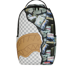 HIDDEN FORTUNE BACKPACK