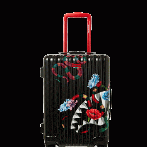 JARDIN D'EDEN HARDSHELL CARRY-ON LUGGAGE