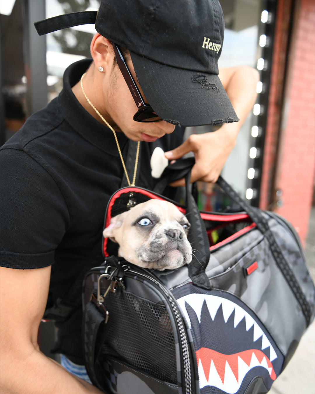 3AM PET CARRIER - Image 8