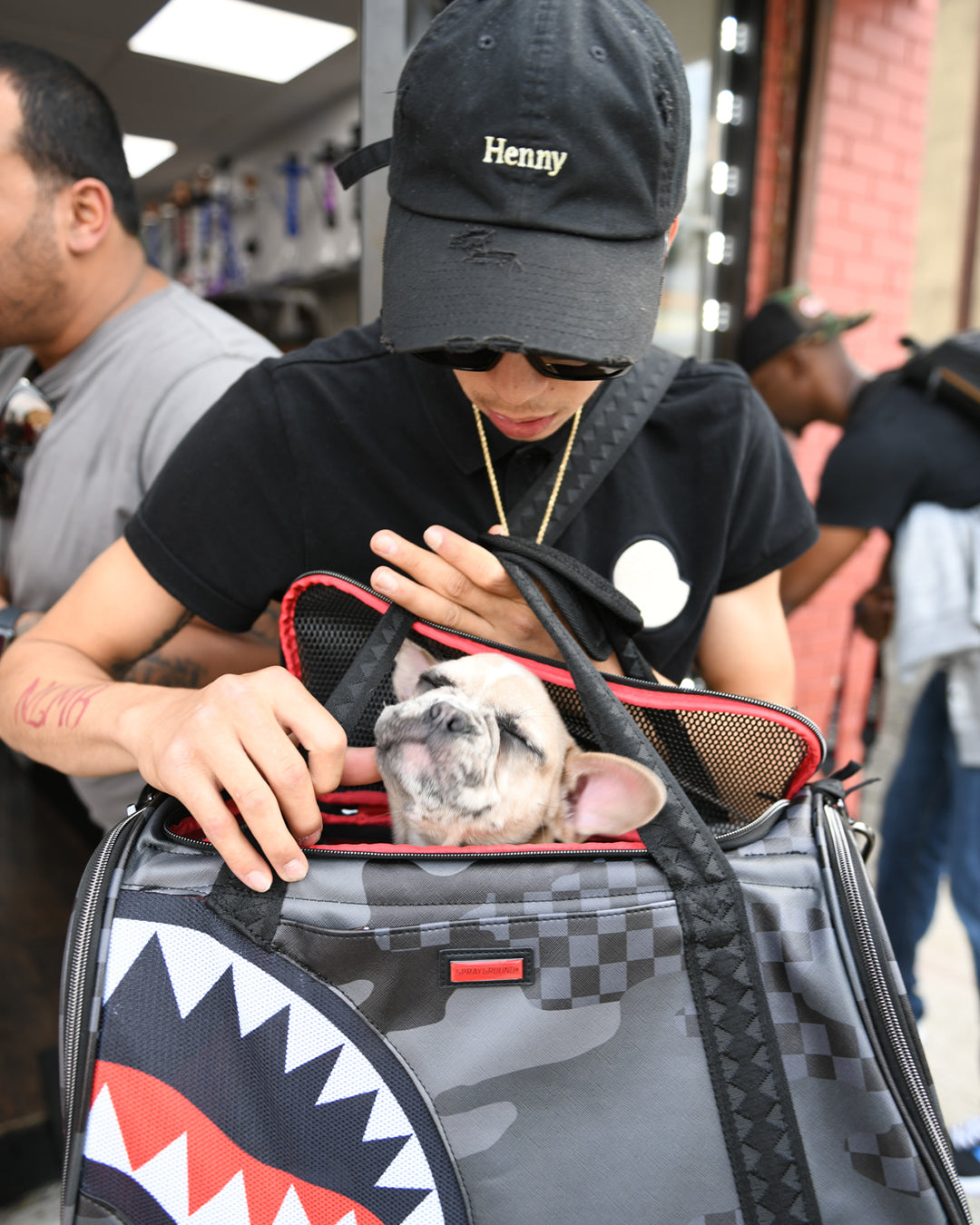 3AM PET CARRIER - Image 11