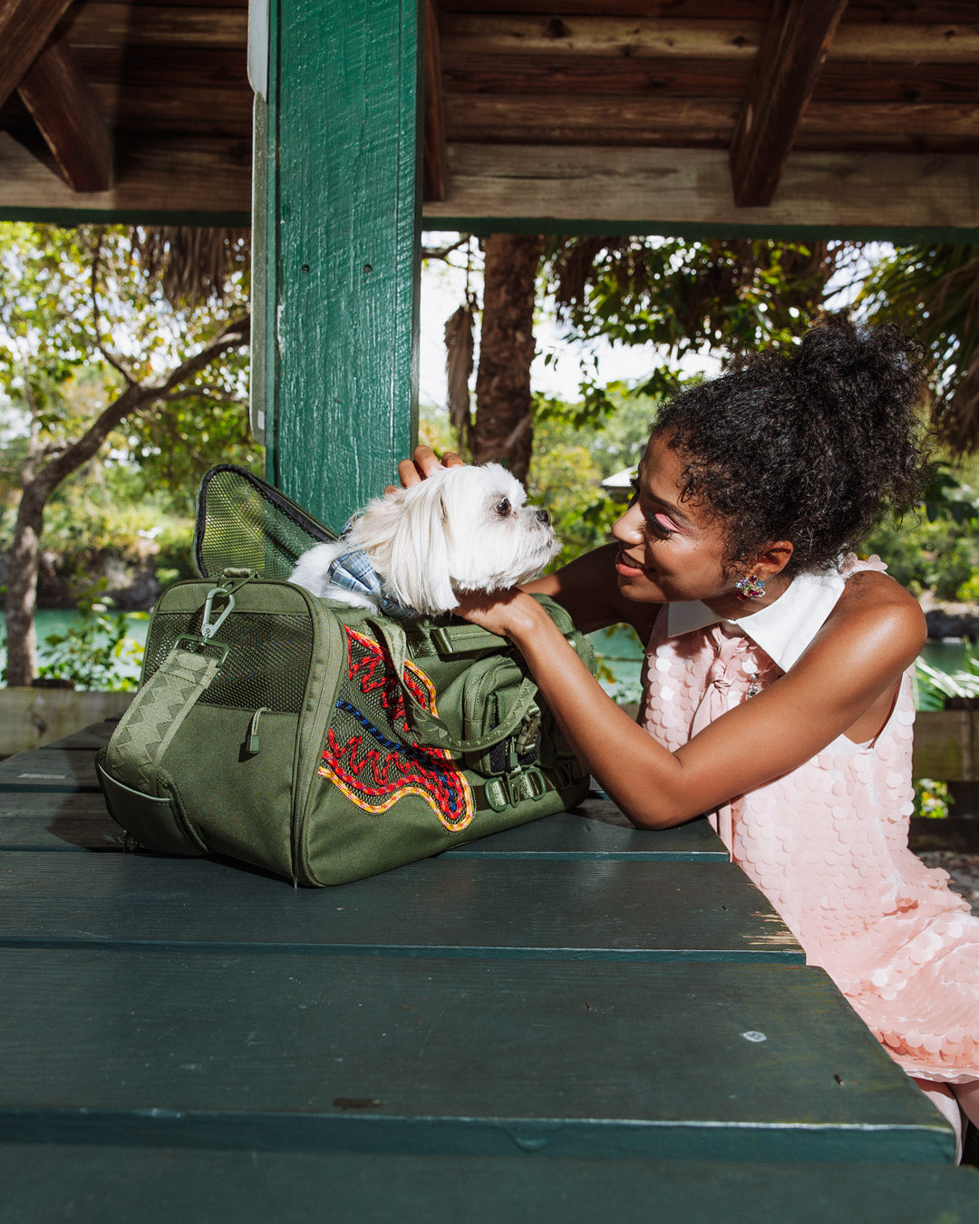 WON'T STOP TILL THE TOP PET CARRIER - Image 2