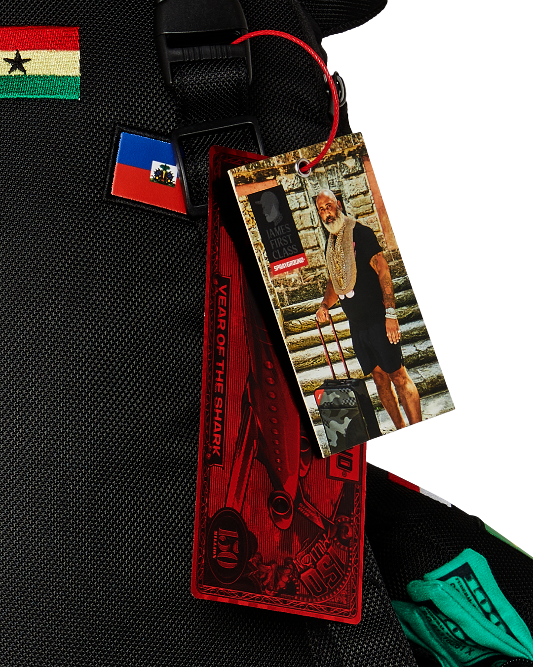 JAMES FIRST CLASS GLOBAL FLAGS MONEYBEAR BACKPACK - Image 13