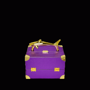 SHARKS OF THE GOLD OCEAN JEWELRY CASE
